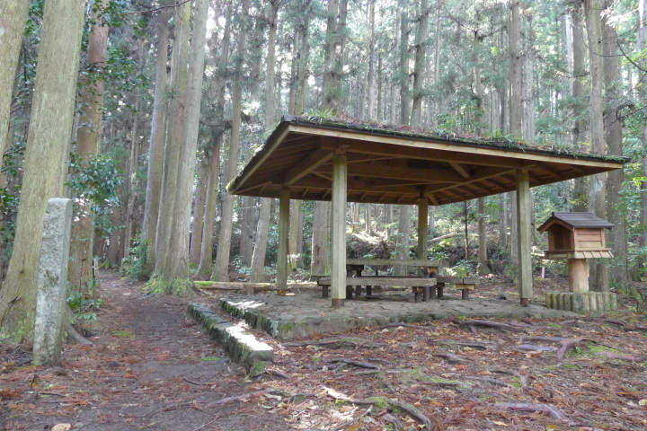 [ Undefined: coursed-title-nl2br ]