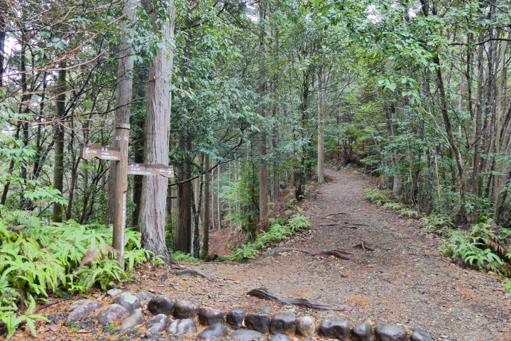 [ Undefined: coursed-title-nl2br ]