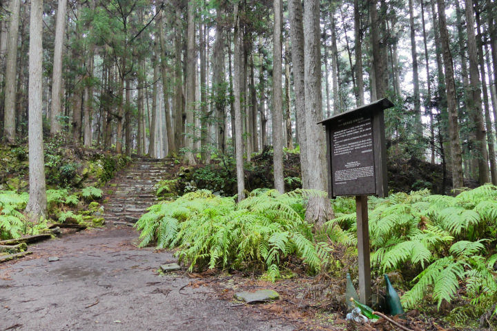 [ Undefined: coursed-title-nl2br ]