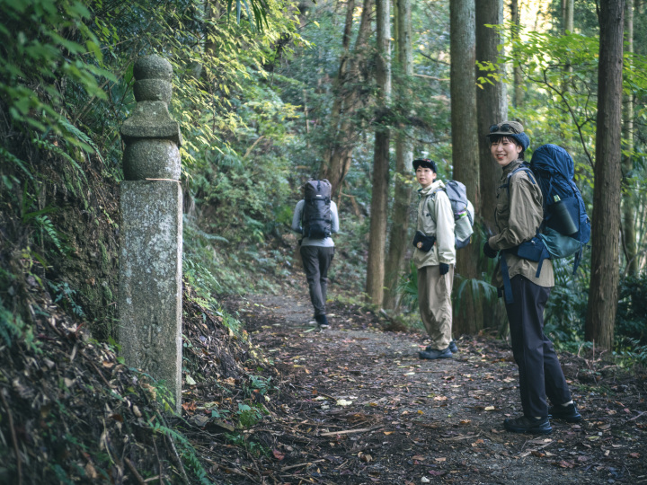 [ Undefined: coursed-title-nl2br ]