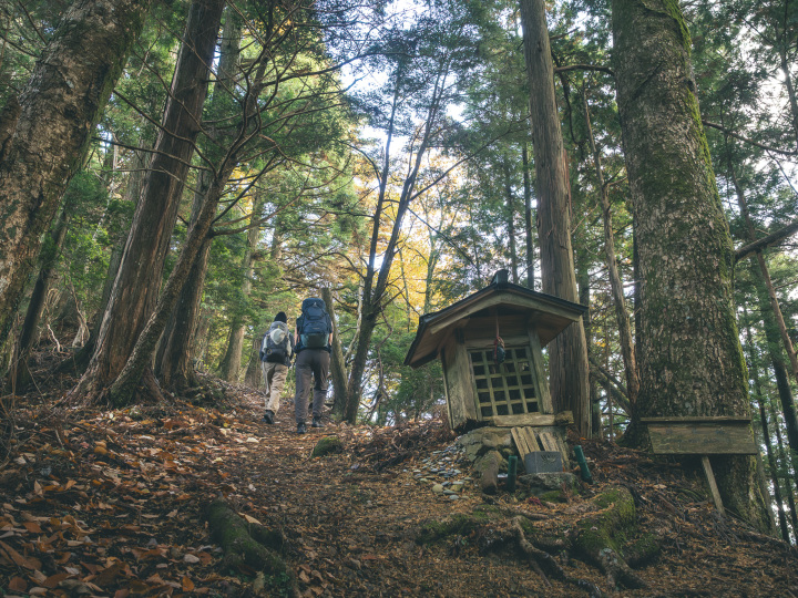 [ Undefined: coursed-title-nl2br ]