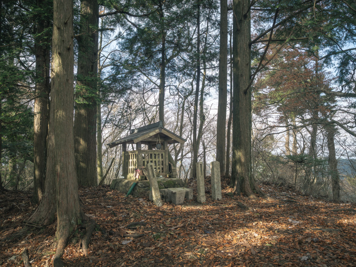 [ Undefined: coursed-title-nl2br ]