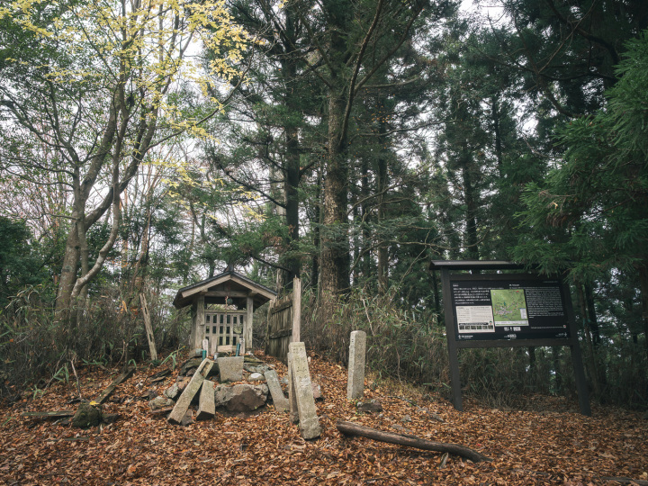 [ Undefined: coursed-title-nl2br ]