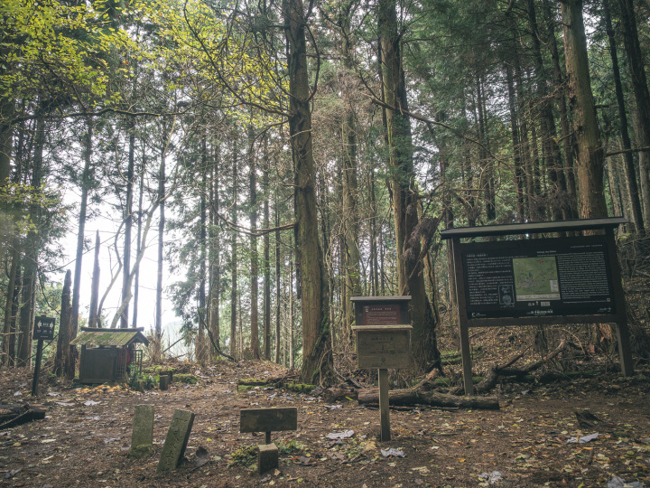 [ Undefined: coursed-title-nl2br ]