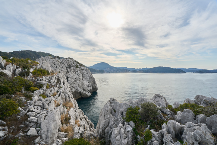 [ Undefined: coursed-title-nl2br ]