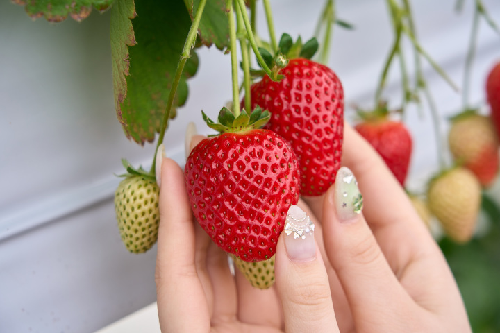 [ Undefined: coursed-title-nl2br ]