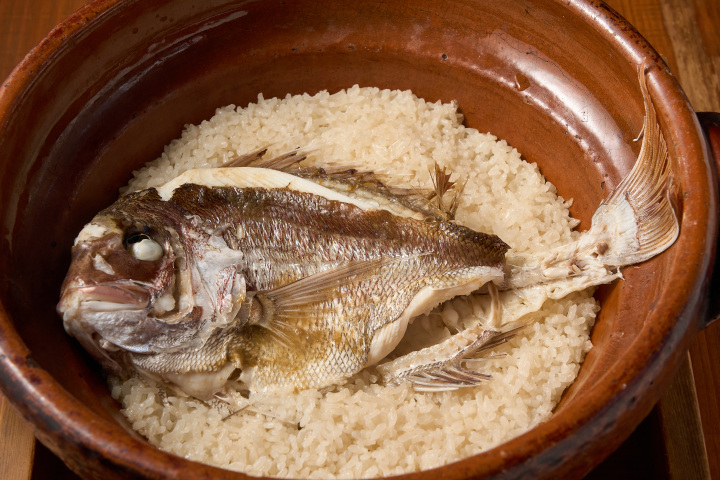 [ Undefined: coursed-title-nl2br ]