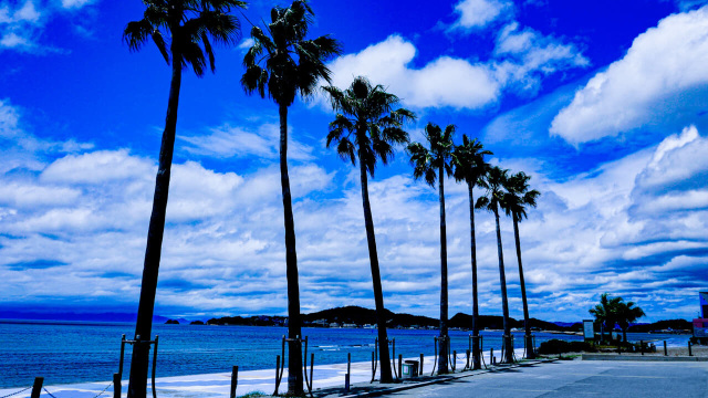 浜の宮ビーチ