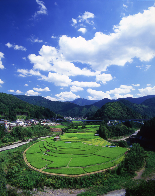 わかやまの農業と棚田