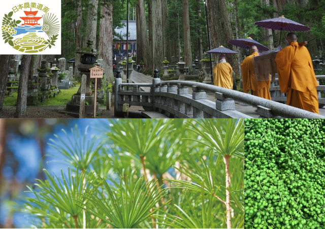 高野・花園・清水地域　日本農業遺産「聖地　高野山と有田川上流域を結ぶ持続的農林業システム」