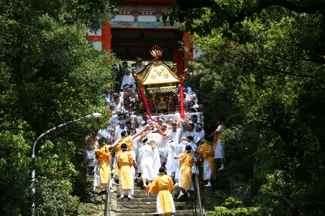 和歌山市エリア