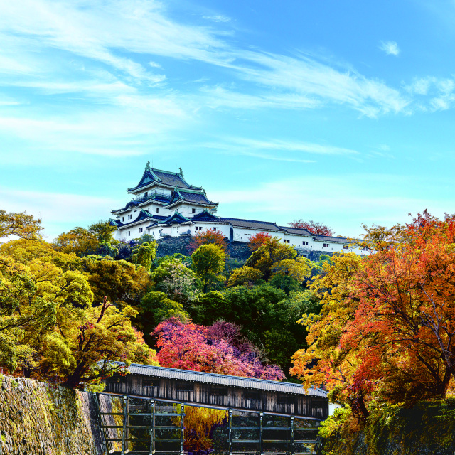 和歌山城