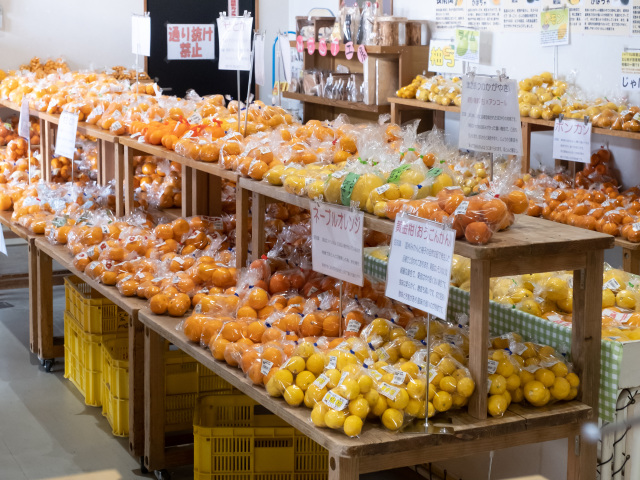 ショッピング・お土産もの