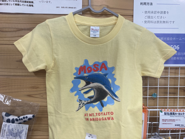 ワカヤマソウリュウTシャツ