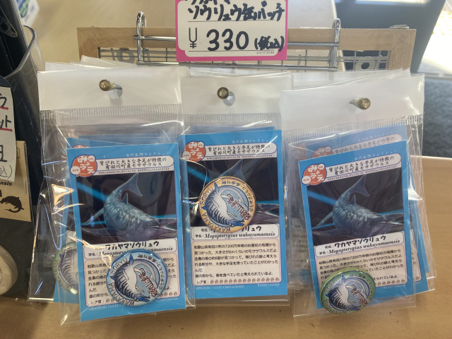 ワカヤマソウリュウ缶バッジ