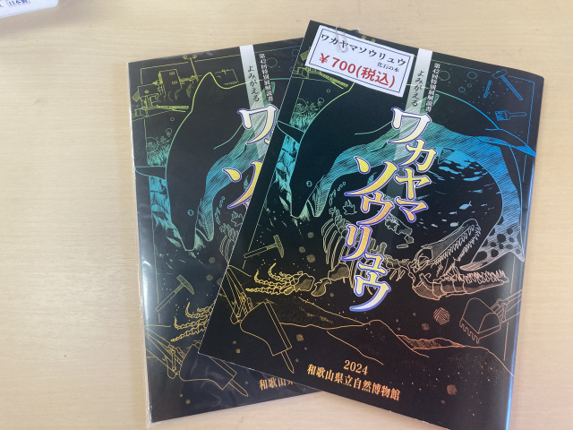 ワカヤマソウリュウ展 図録