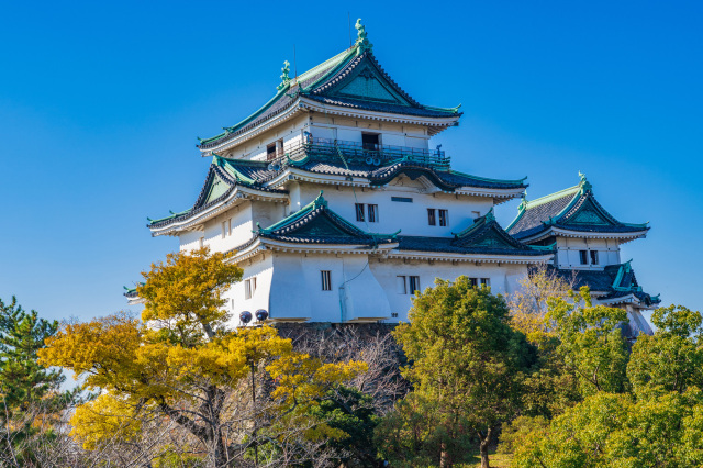ホテルいとう周辺 ー和歌山市近郊エリアの見どころを紹介!ー 和歌山城・マリーナシティなどのスポットからグルメまで、おすすめ情報満載!