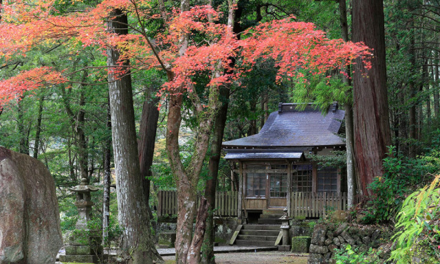 1泊2日で熊野本宮大社を歩いて目指す!40kmの熊野古道ロングコースを紹介!