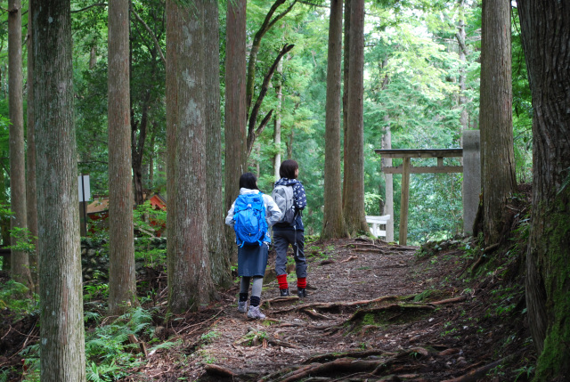 熊野古道のゴールデンルート!発心門王子から熊野本宮大社を歩く