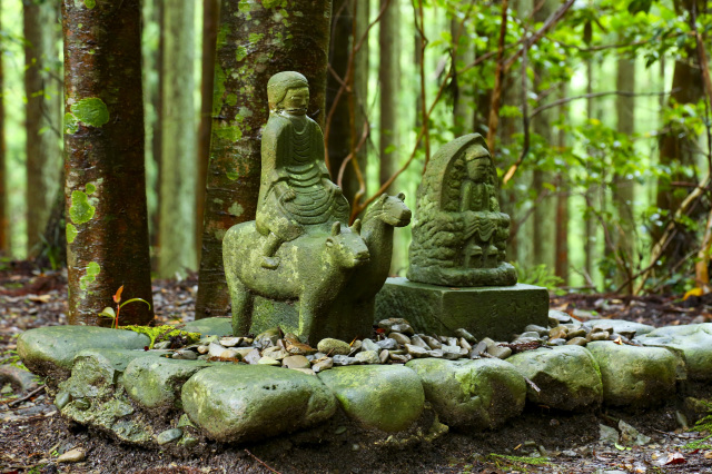 気軽に3時間 熊野古道中辺路ウォーク!写真を撮りたくなる見どころ満載モデルコース
