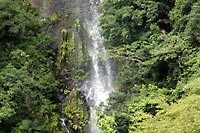 八草の滝