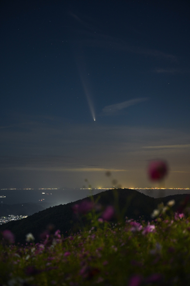 テレビ和歌山賞