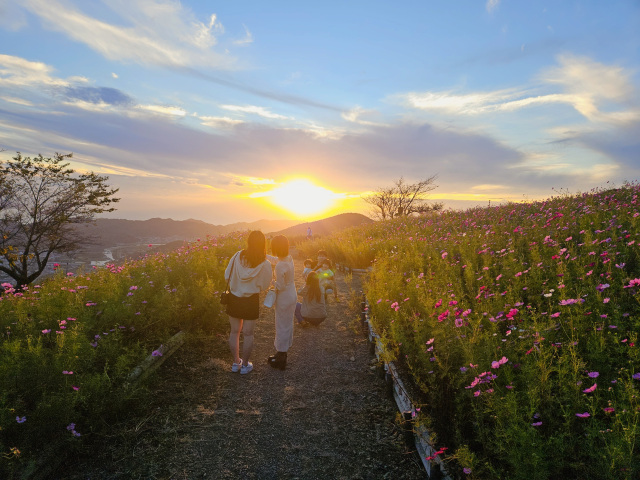 JAわかやま ありだっこ賞