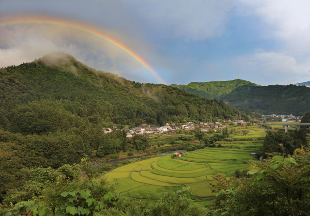 和歌山特報社賞