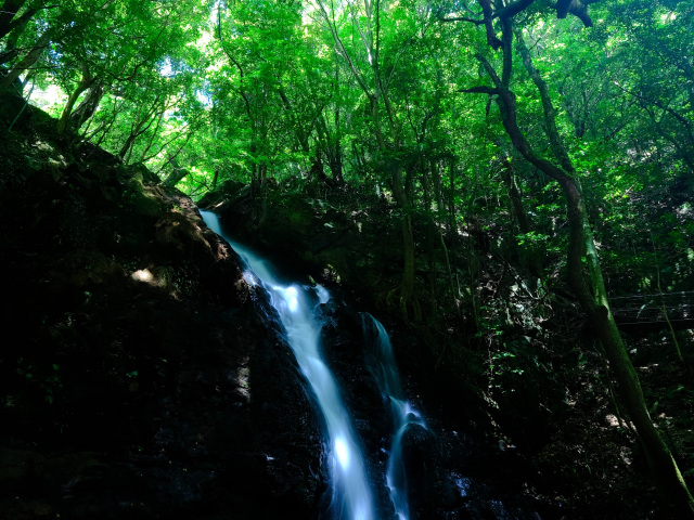 有田川町商工会長賞
