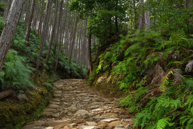 熊野古道中辺路