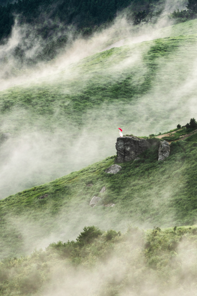 有田川町観光協会長賞