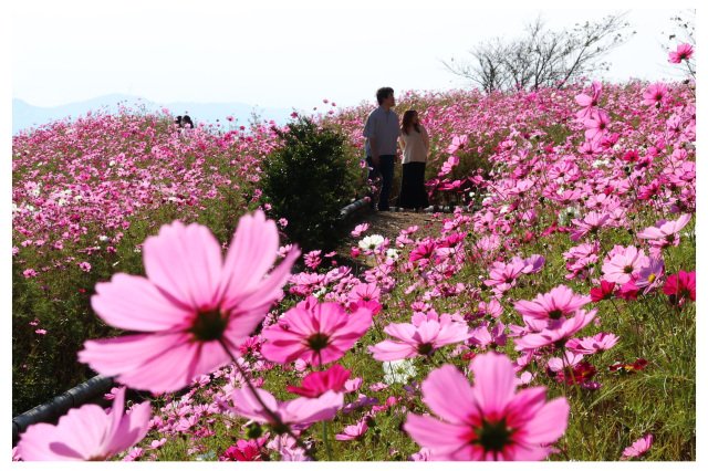 有田川町議会議長賞