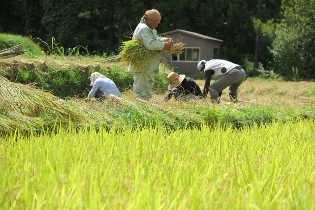 和歌山特報社賞