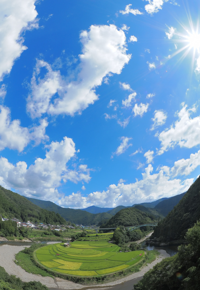 テレビ和歌山賞