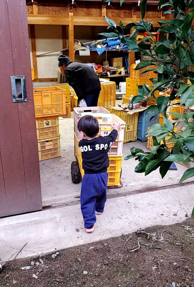 JAありだ組合長賞