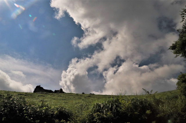 和歌山特報社賞