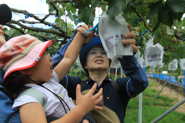 有田川町商工会長賞