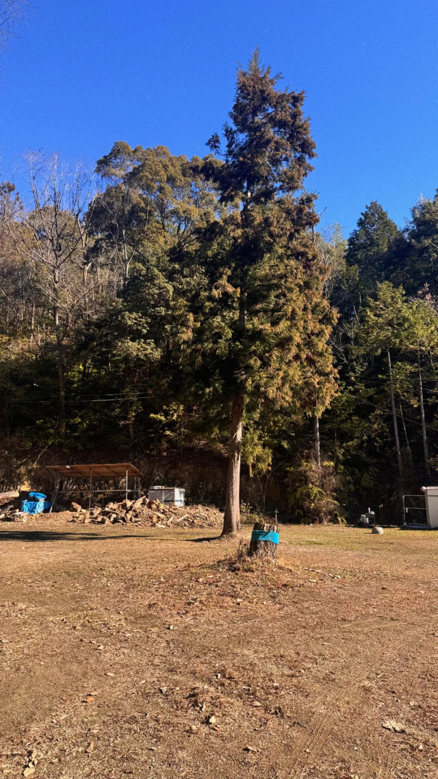 広々使えるフリーサイト