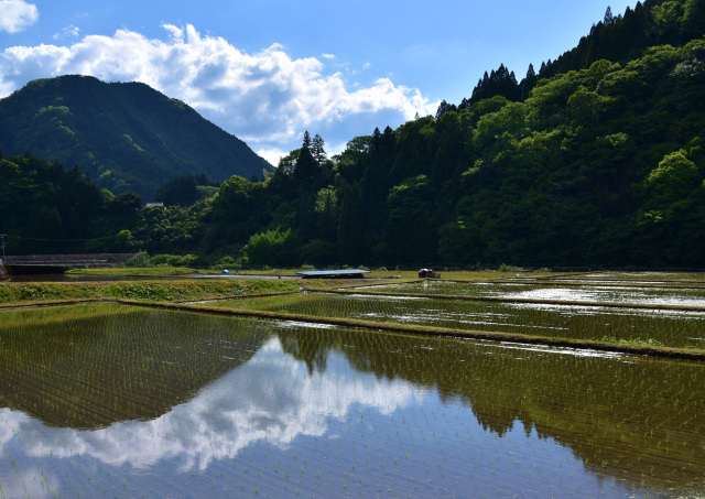 JAありだ組合長賞