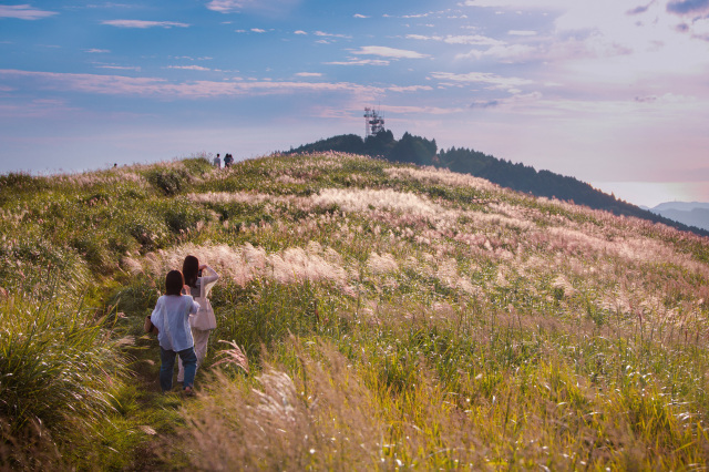 有田川町商工会長賞