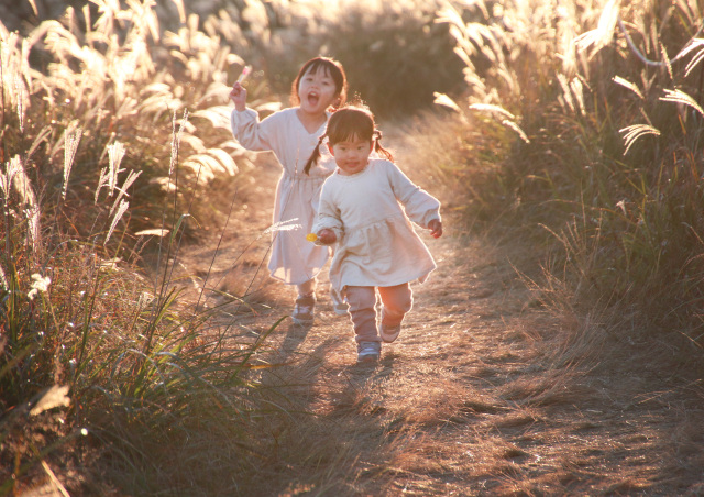 有田川町議会議長賞