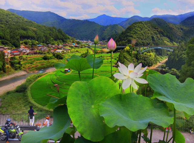 有田川漁業協同組合長賞