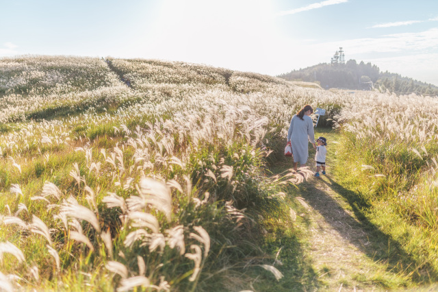 テレビ和歌山賞