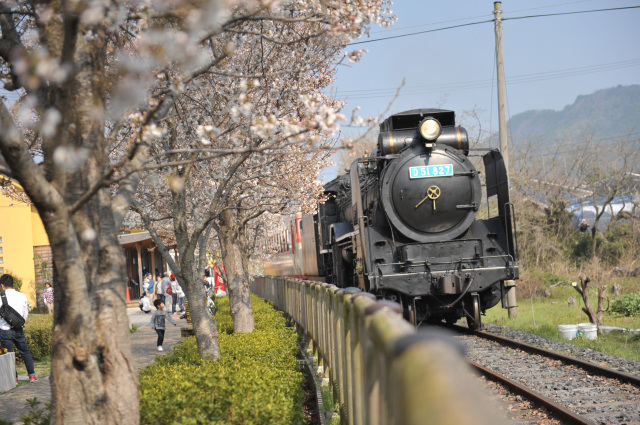 有田川町観光協会会長賞