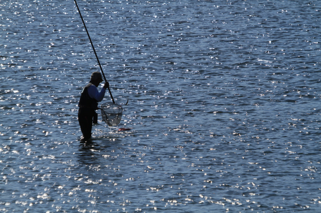 有田川漁業協同組合長賞