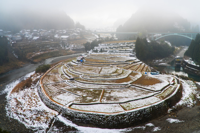 有田川町議会議長賞