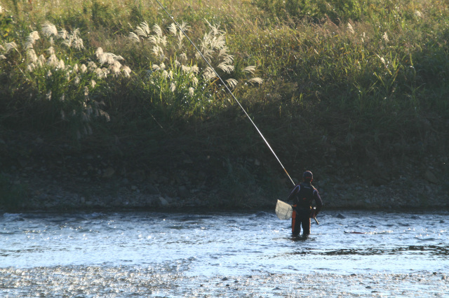 有田川漁業協同組合長賞