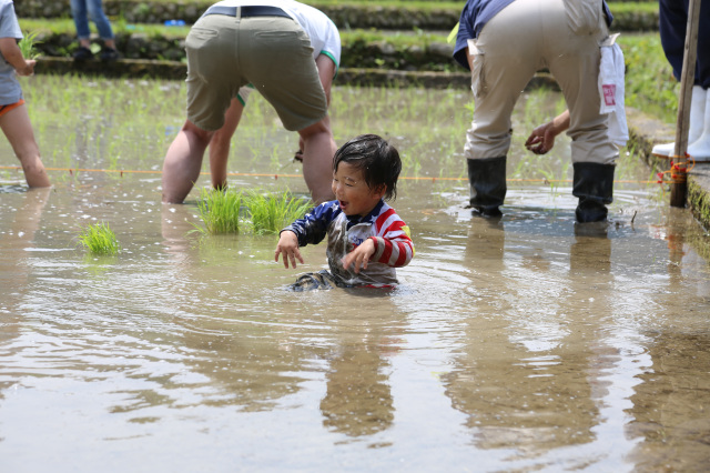 テレビ和歌山賞