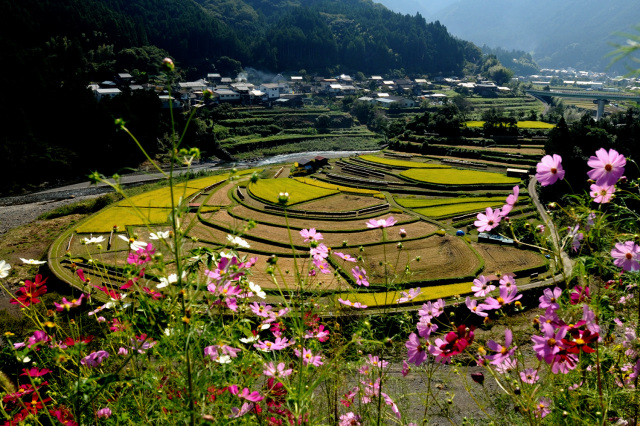 有田川町議会議長賞