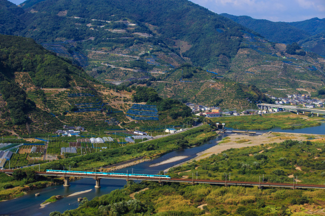 和歌山県観光連盟会長賞